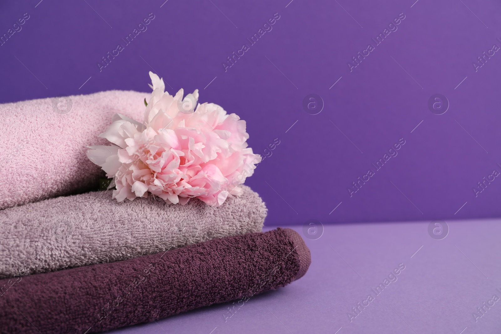 Stack of soft towels and peony flower on purple background, closeup. Space for text Photo of Stack of soft towels and peony flower on purple background, closeup. Space for text