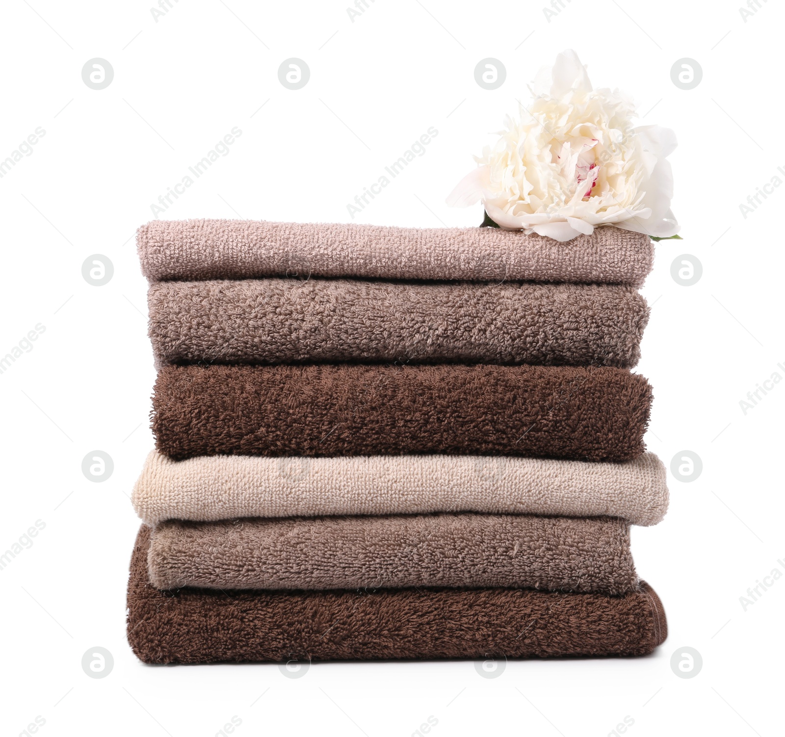 Stack of soft towels and peony flower isolated on white Photo of Stack of soft towels and peony flower isolated on white