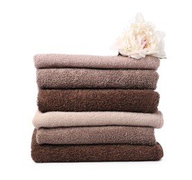 Photo of Stack of soft towels and peony flower isolated on white