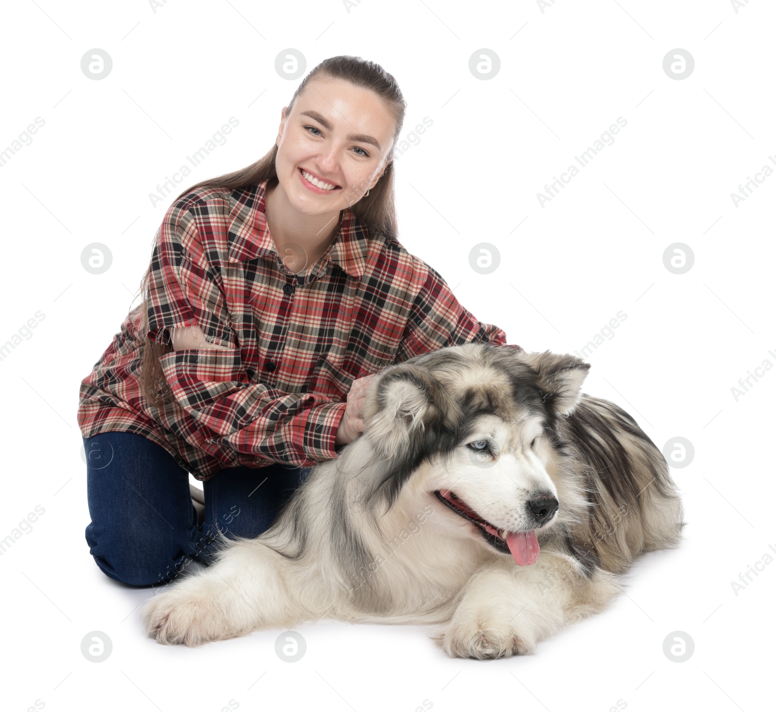Woman with her beautiful Alaskan malamute dog on white background Photo of Woman with her beautiful Alaskan malamute dog on white background