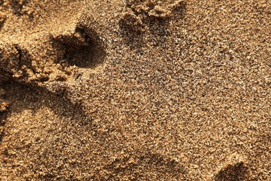 Photo of Texture of sandy beach as background, top view