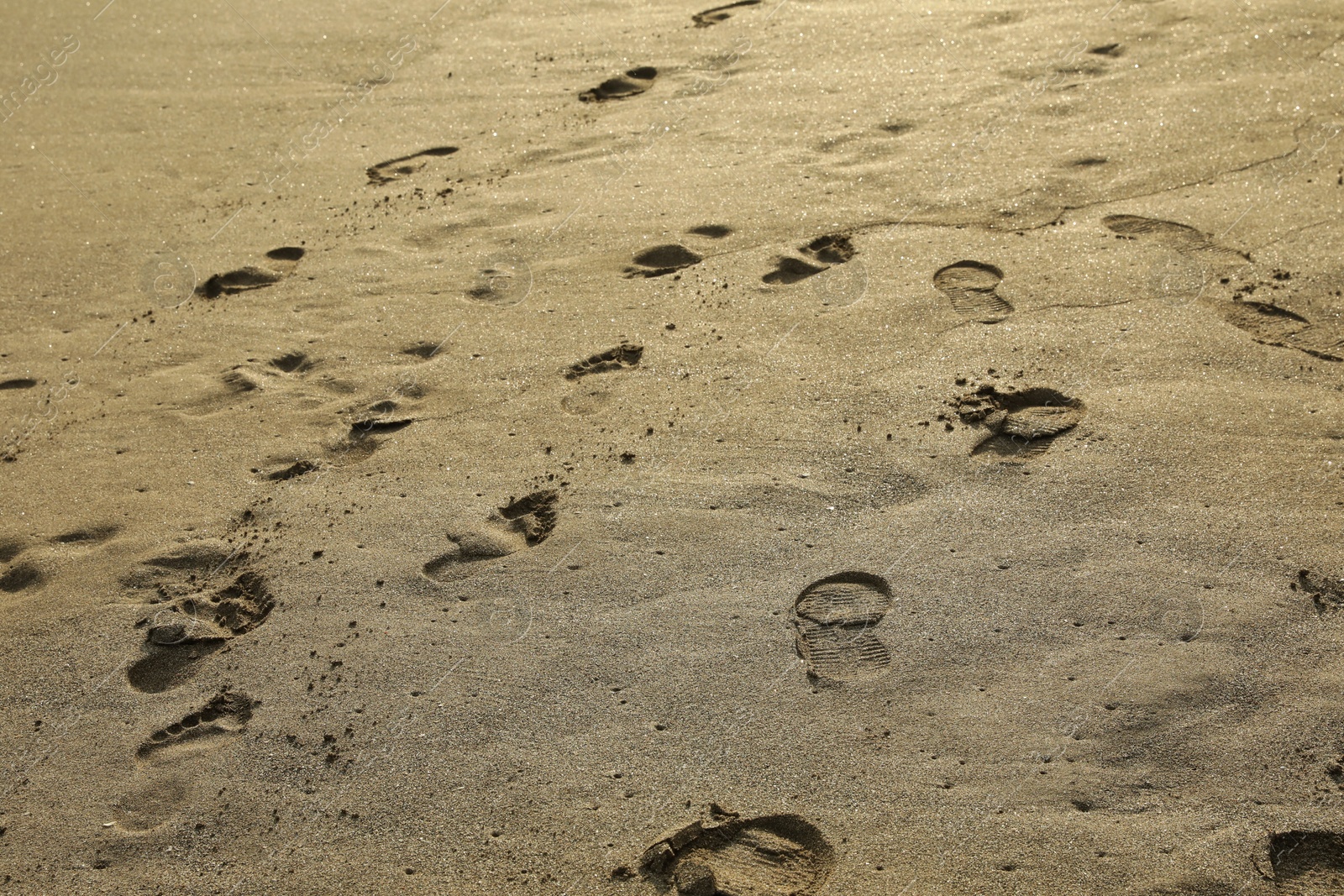 Many different footprints on sand as background Photo of Many different footprints on sand as background