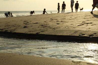 Photo of Bali, Indonesia - May 20, 2025: People and dogs spending time on beach, selective focus
