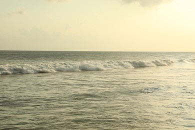 Photo of Beautiful sea and cloudless sky at tropical beach