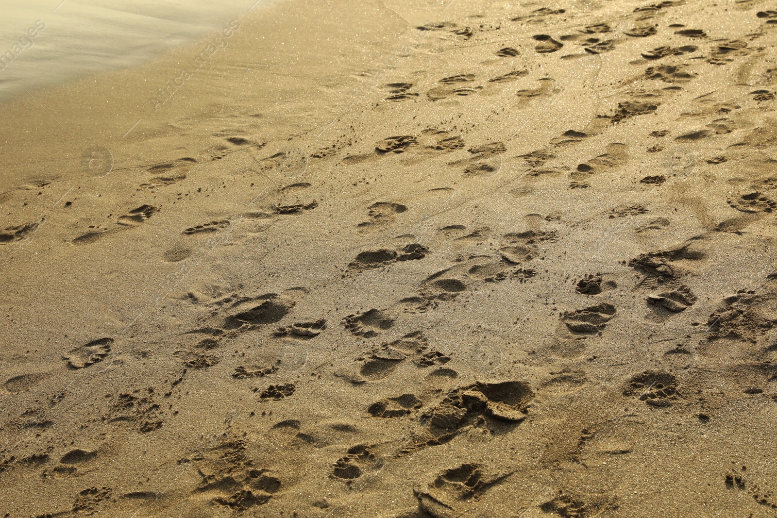 Many different footprints on sand as background Photo of Many different footprints on sand as background