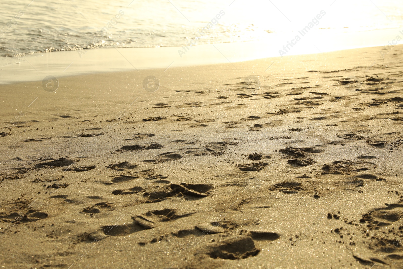 Sandy beach with footprints near sea, closeup Photo of Sandy beach with footprints near sea, closeup