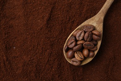 Photo of Roasted coffee beans in spoon on powder, top view
