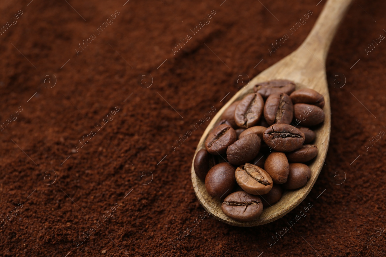 Roasted coffee beans in spoon on powder, closeup. Space for text Photo of Roasted coffee beans in spoon on powder, closeup. Space for text