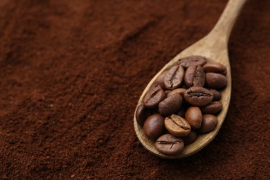 Photo of Roasted coffee beans in spoon on powder, closeup. Space for text