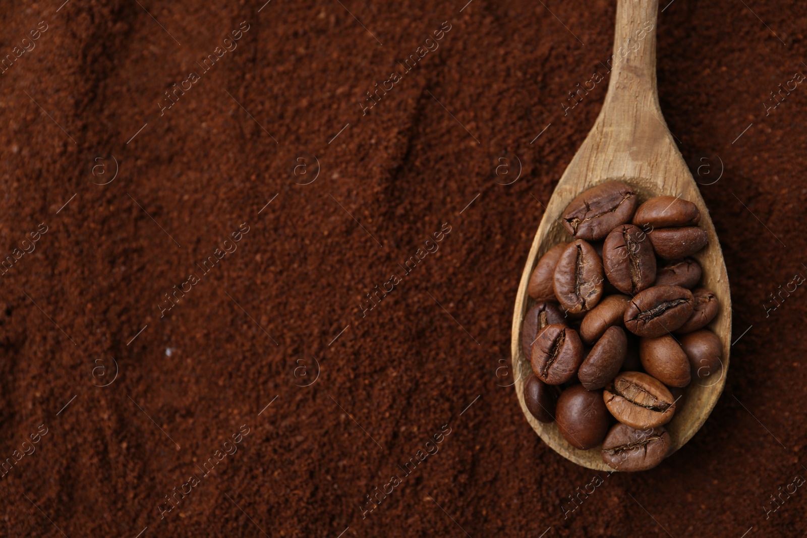Roasted coffee beans in spoon on powder, top view. Space for text Photo of Roasted coffee beans in spoon on powder, top view. Space for text