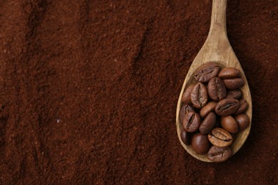 Photo of Roasted coffee beans in spoon on powder, top view. Space for text