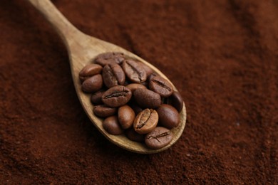 Photo of Roasted coffee beans in spoon on powder, closeup