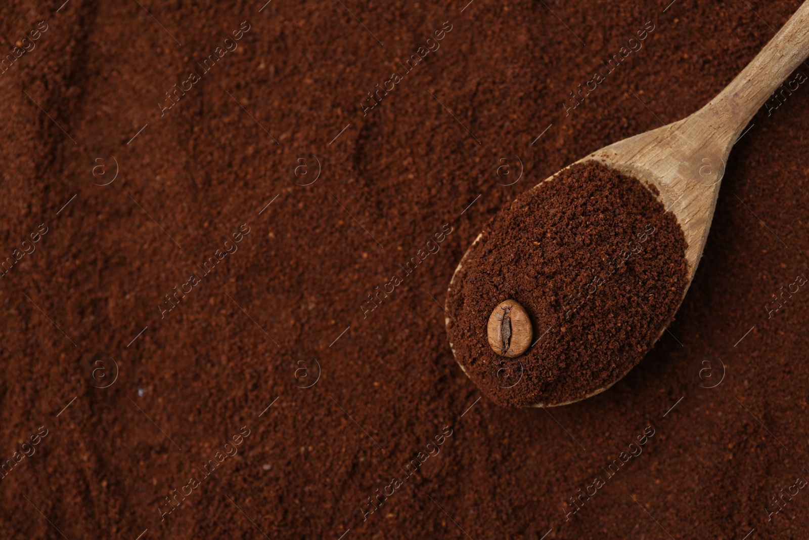 Instant coffee powder, bean and spoon, top view Photo of Instant coffee powder, bean and spoon, top view