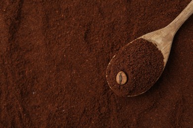 Photo of Instant coffee powder, bean and spoon, top view