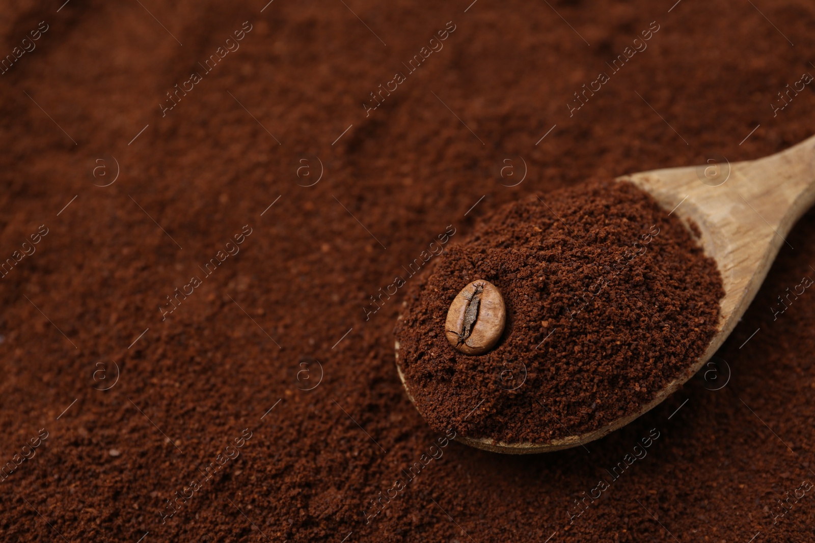 Instant coffee powder, bean and spoon, closeup. Space for text Photo of Instant coffee powder, bean and spoon, closeup. Space for text
