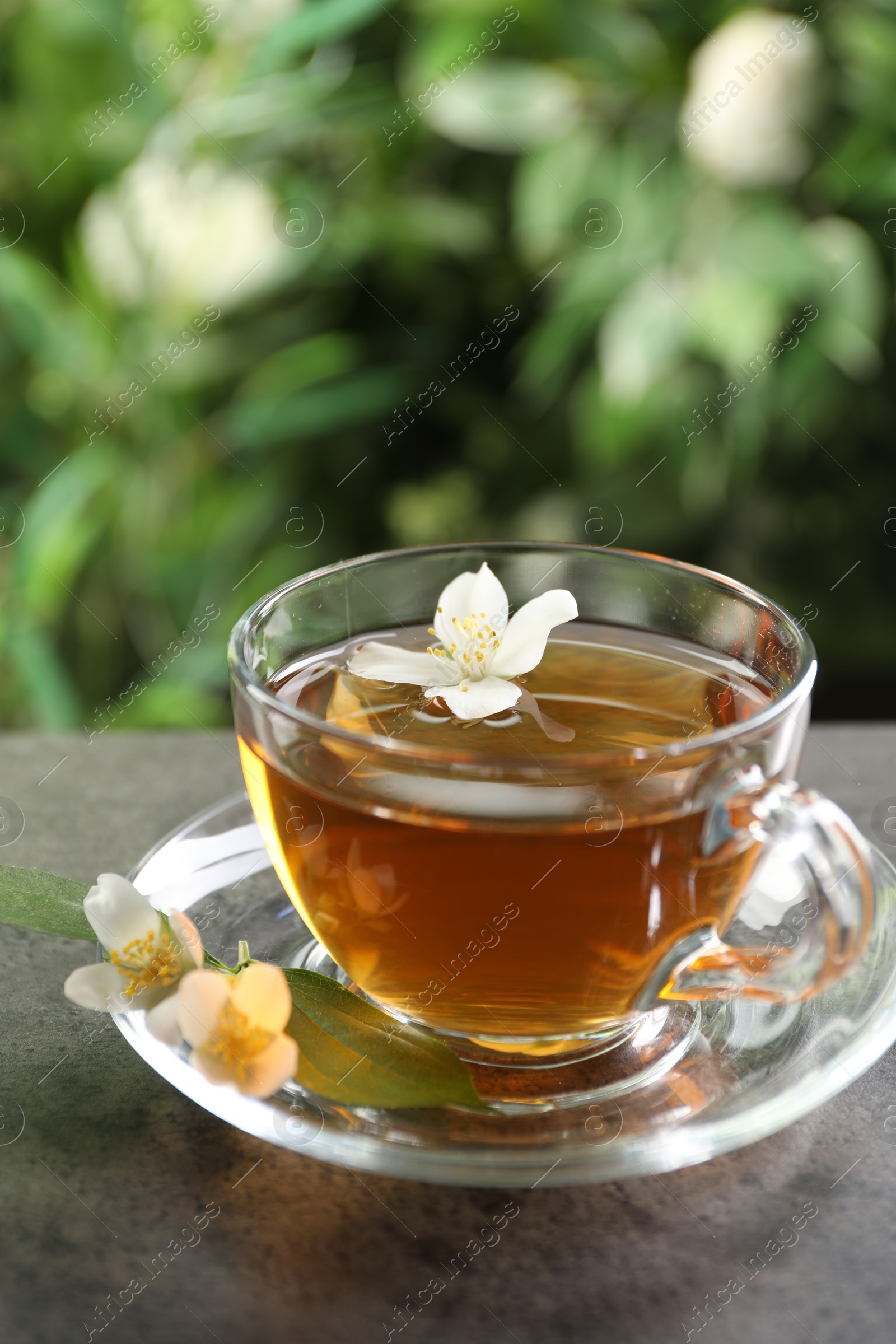 Aromatic jasmine tea in glass cup and flowers on grey table outdoors, closeup Photo of Aromatic jasmine tea in glass cup and flowers on grey table outdoors, closeup