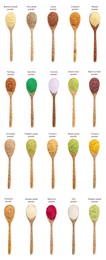 Image of Superfoods. Different powders in spoons and names on white background, set. Top view