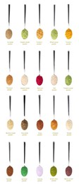 Image of Superfoods. Different powders in spoons and names on white background, set. Top view