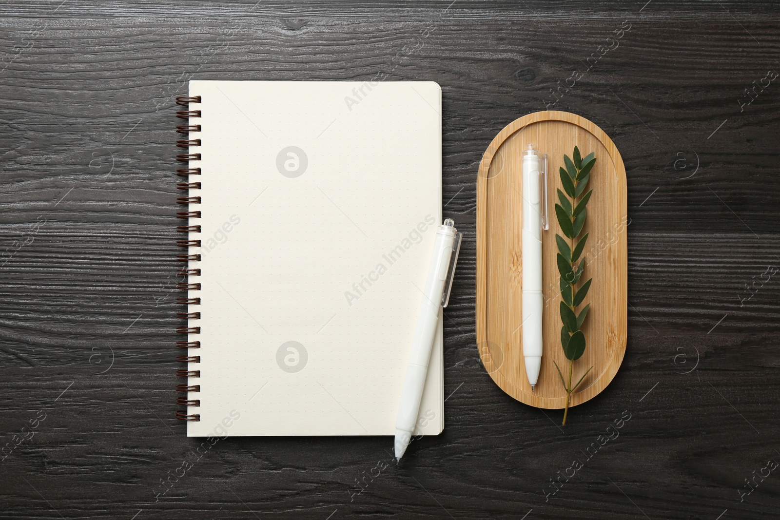 Photo of Open blank notebook, branch and pens on black wooden table, flat lay