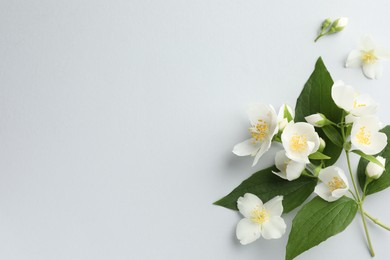 Photo of Beautiful jasmine flowers with leaves on light background, flat lay. Space for text