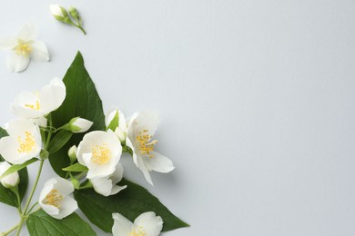 Photo of Beautiful jasmine flowers with leaves on light background, flat lay. Space for text