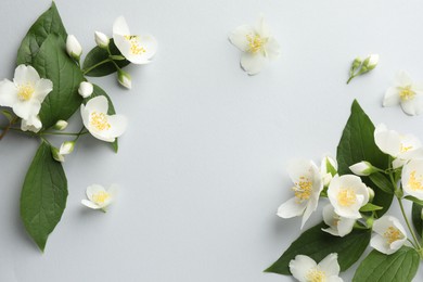 Photo of Beautiful jasmine flowers with leaves on light background, flat lay. Space for text