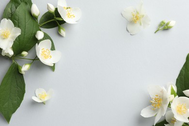 Photo of Beautiful jasmine flowers with leaves on light background, flat lay. Space for text