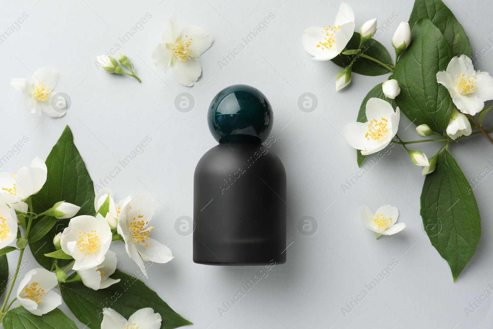 Bottle of perfume and jasmine flowers on light background, flat lay Photo of Bottle of perfume and jasmine flowers on light background, flat lay