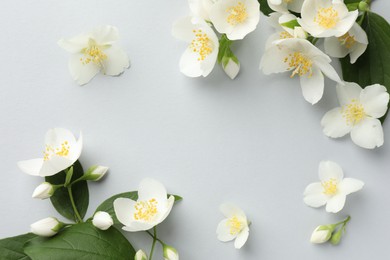 Photo of Beautiful jasmine flowers with leaves on light background, flat lay. Space for text