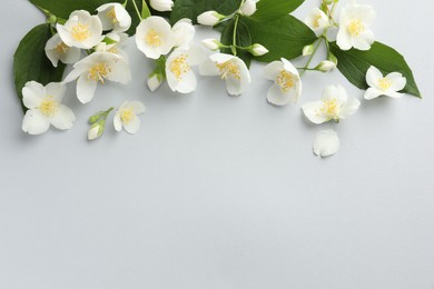 Photo of Beautiful jasmine flowers with leaves on light background, flat lay. Space for text