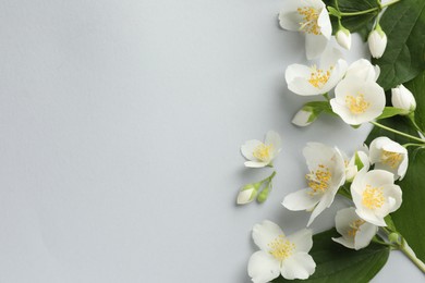 Photo of Beautiful jasmine flowers with leaves on light background, flat lay. Space for text