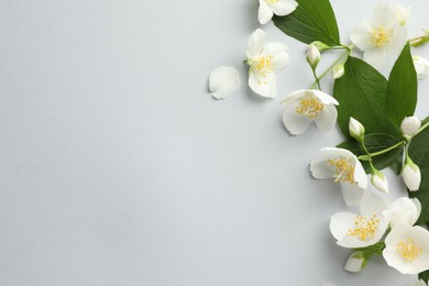 Photo of Beautiful jasmine flowers with leaves on light background, flat lay. Space for text