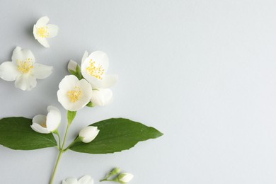 Photo of Beautiful jasmine flowers with leaves on light background, flat lay. Space for text
