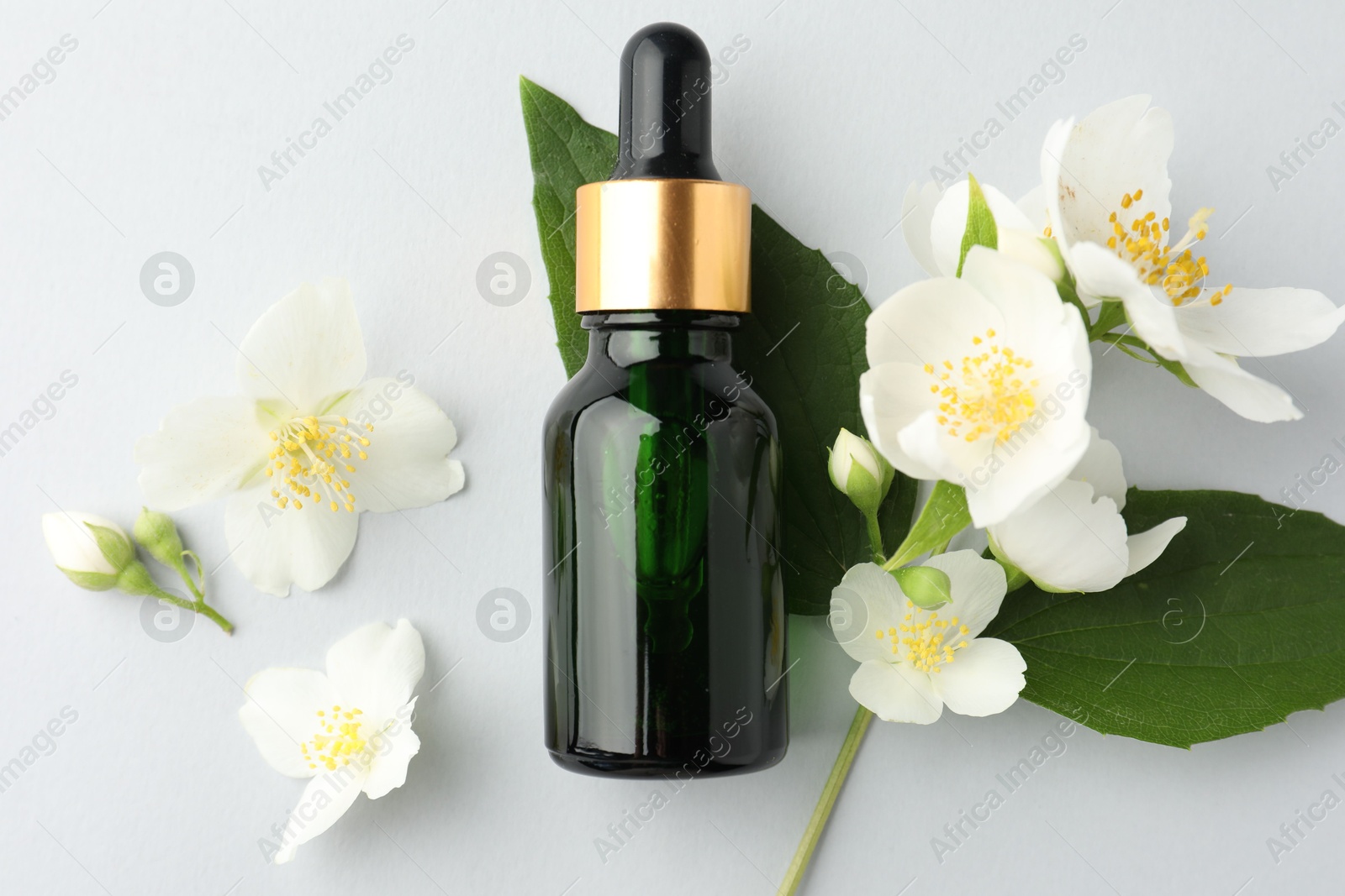 Cosmetic product and jasmine flowers on light background, flat lay Photo of Cosmetic product and jasmine flowers on light background, flat lay