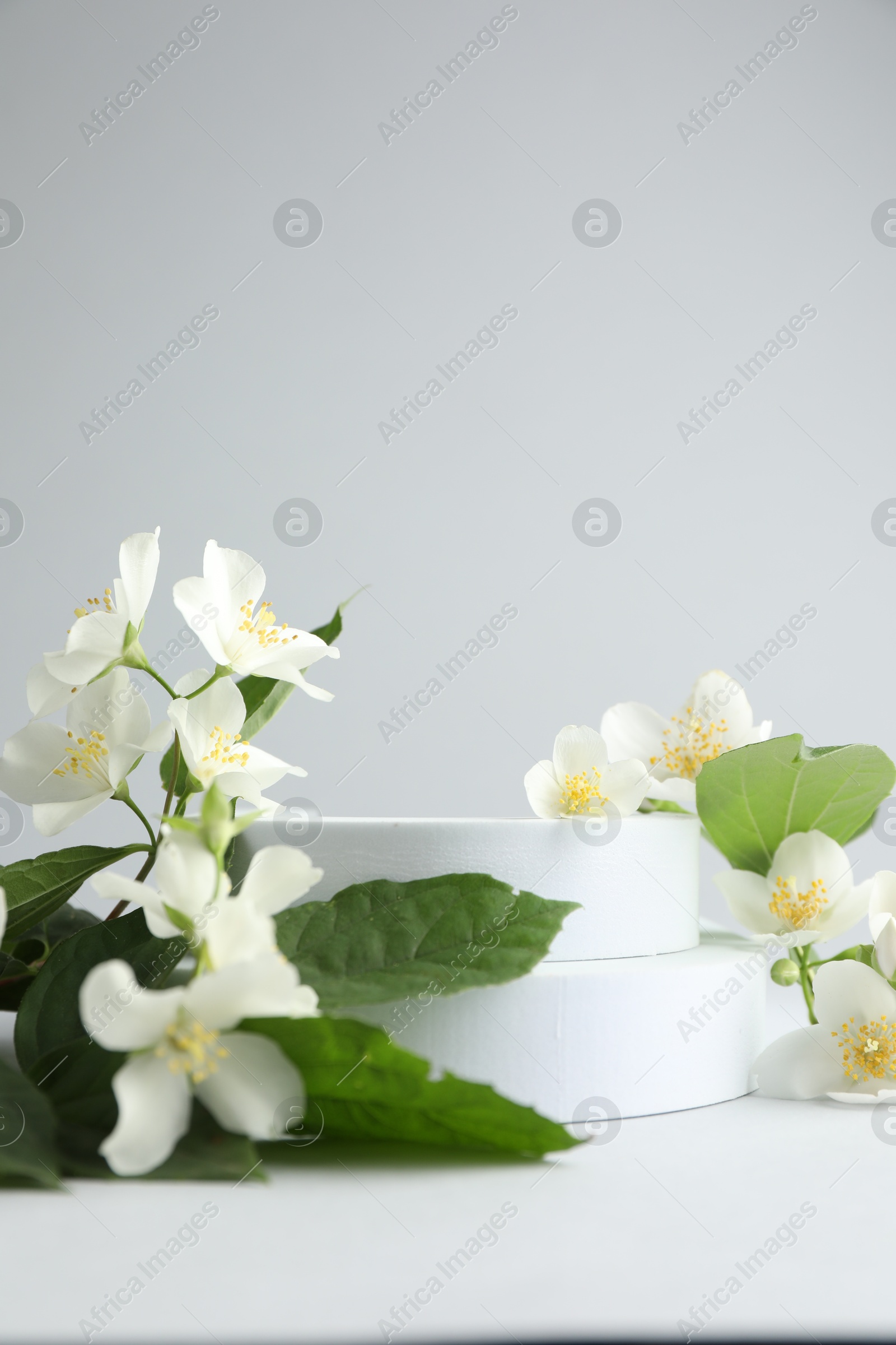 Beautiful jasmine flowers with leaves on light background, closeup. Space for text Photo of Beautiful jasmine flowers with leaves on light background, closeup. Space for text