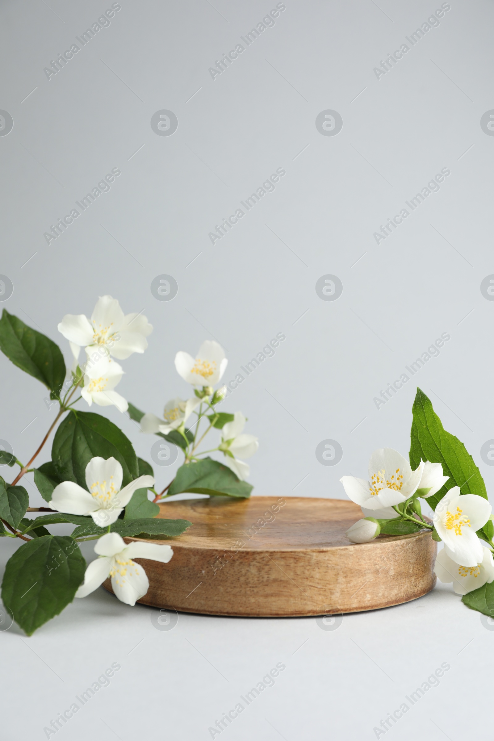 Beautiful jasmine flowers with leaves on light background. Space for text Photo of Beautiful jasmine flowers with leaves on light background. Space for text