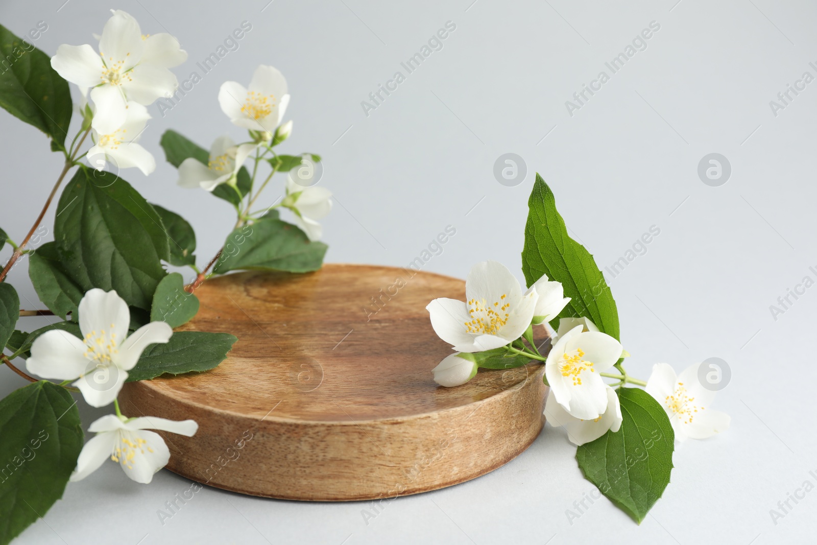 Beautiful jasmine flowers with leaves on light background, closeup. Space for text Photo of Beautiful jasmine flowers with leaves on light background, closeup. Space for text