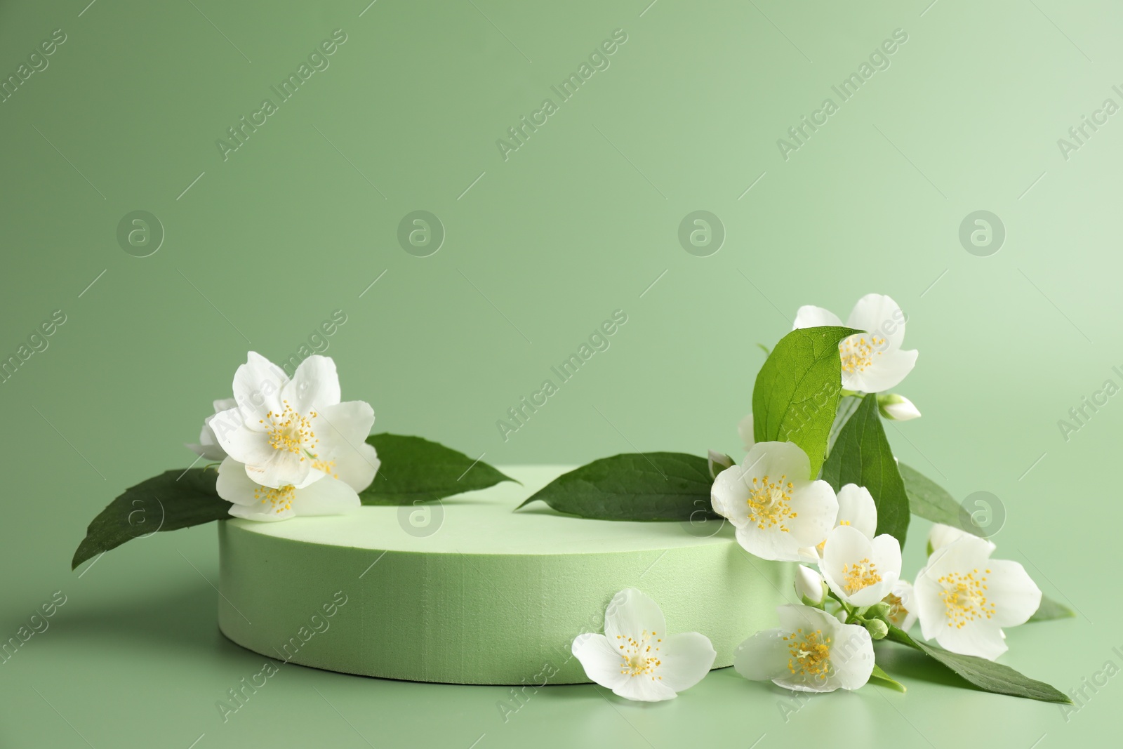 Beautiful jasmine flowers with leaves on green background. Space for text Photo of Beautiful jasmine flowers with leaves on green background. Space for text