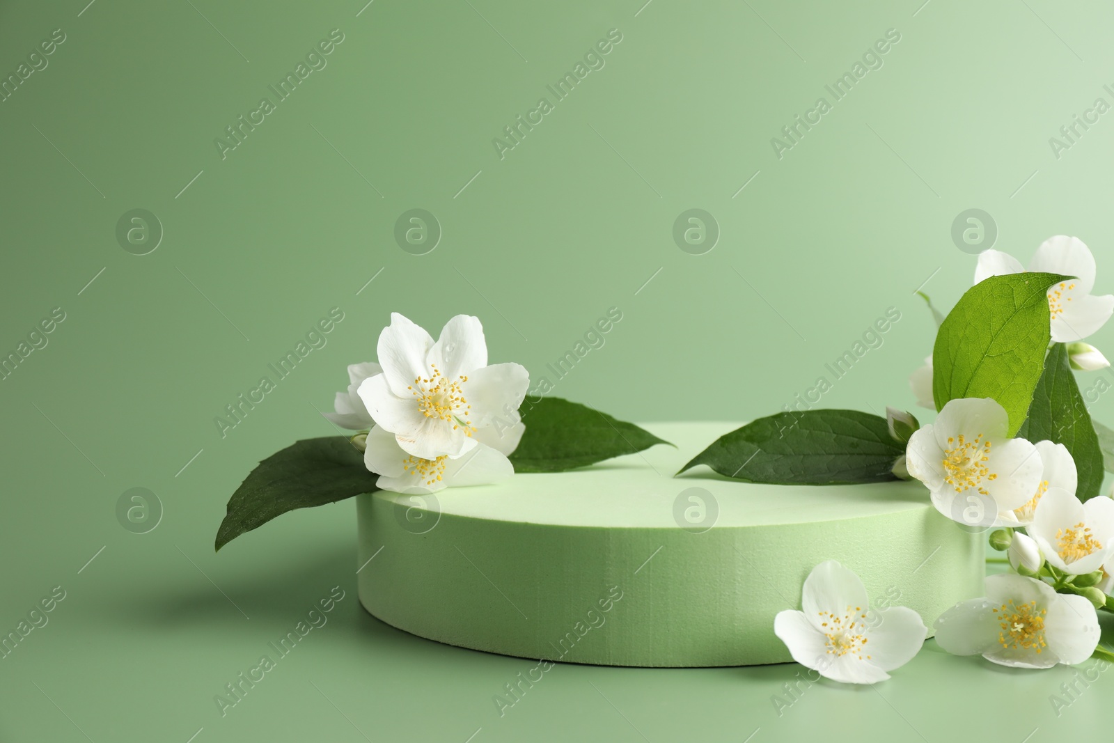 Beautiful jasmine flowers with leaves on green background. Space for text Photo of Beautiful jasmine flowers with leaves on green background. Space for text