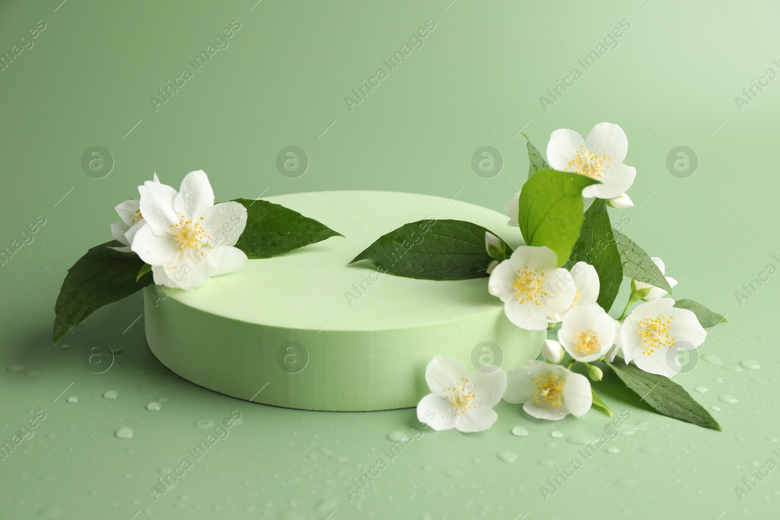 Beautiful jasmine flowers with leaves on green background Photo of Beautiful jasmine flowers with leaves on green background