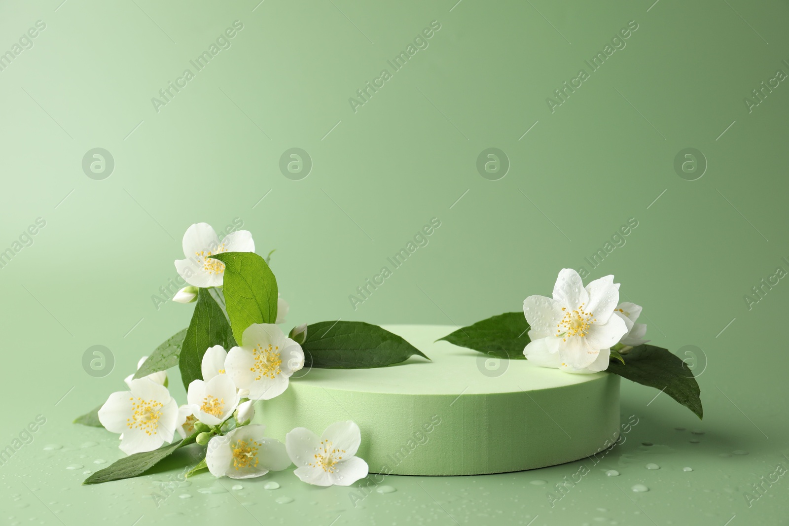 Beautiful jasmine flowers with leaves on green background. Space for text Photo of Beautiful jasmine flowers with leaves on green background. Space for text