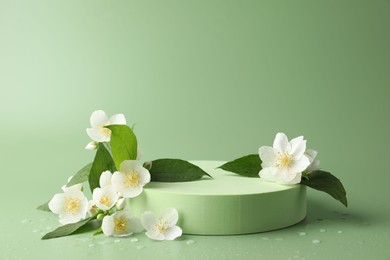 Photo of Beautiful jasmine flowers with leaves on green background. Space for text