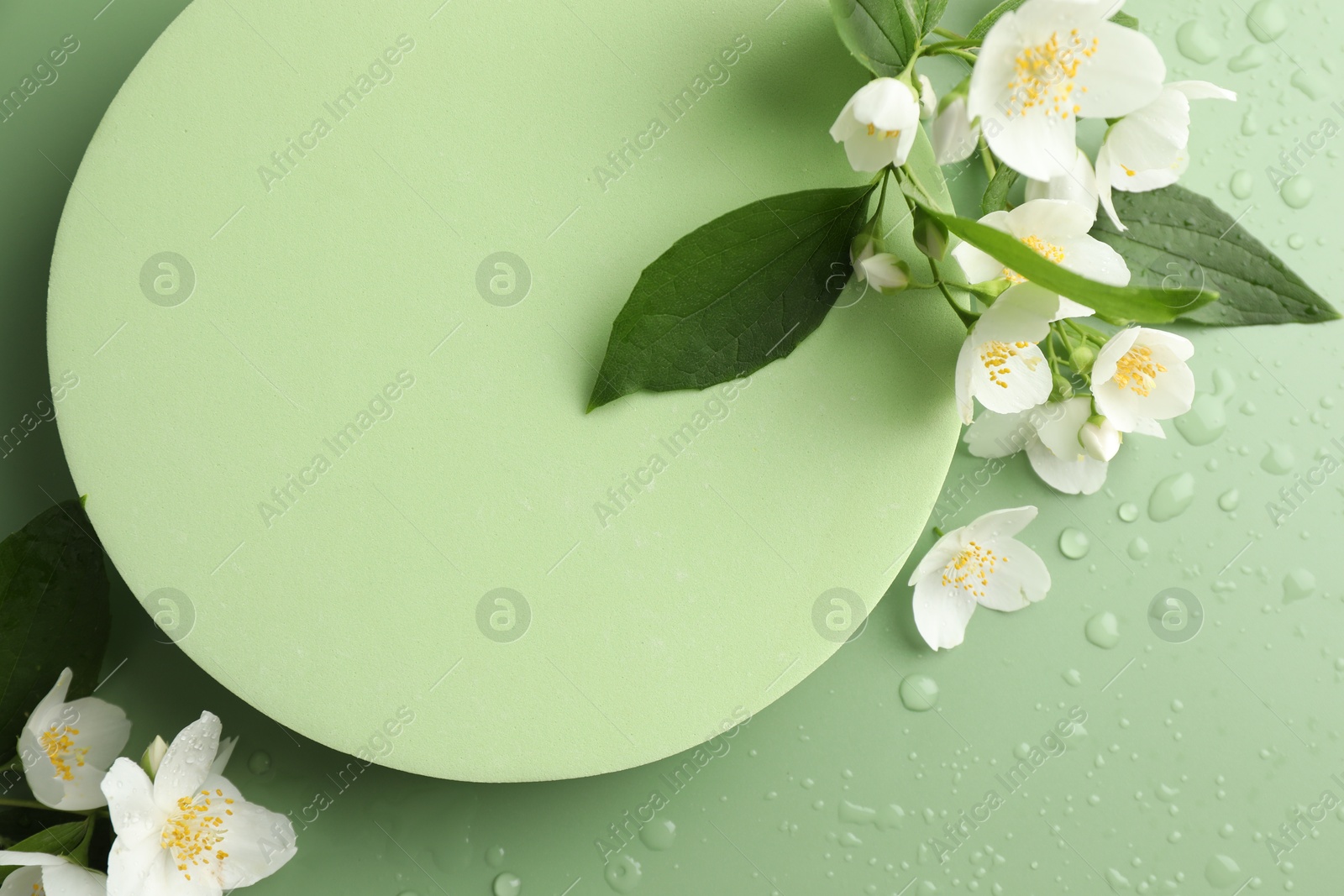 Beautiful jasmine flowers with leaves on green background, flat lay Photo of Beautiful jasmine flowers with leaves on green background, flat lay