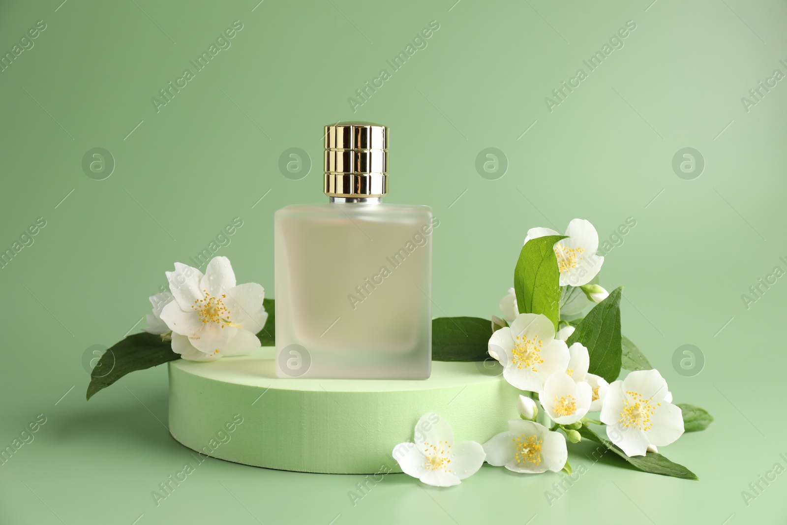 Photo of Bottle of perfume and jasmine flowers on green background