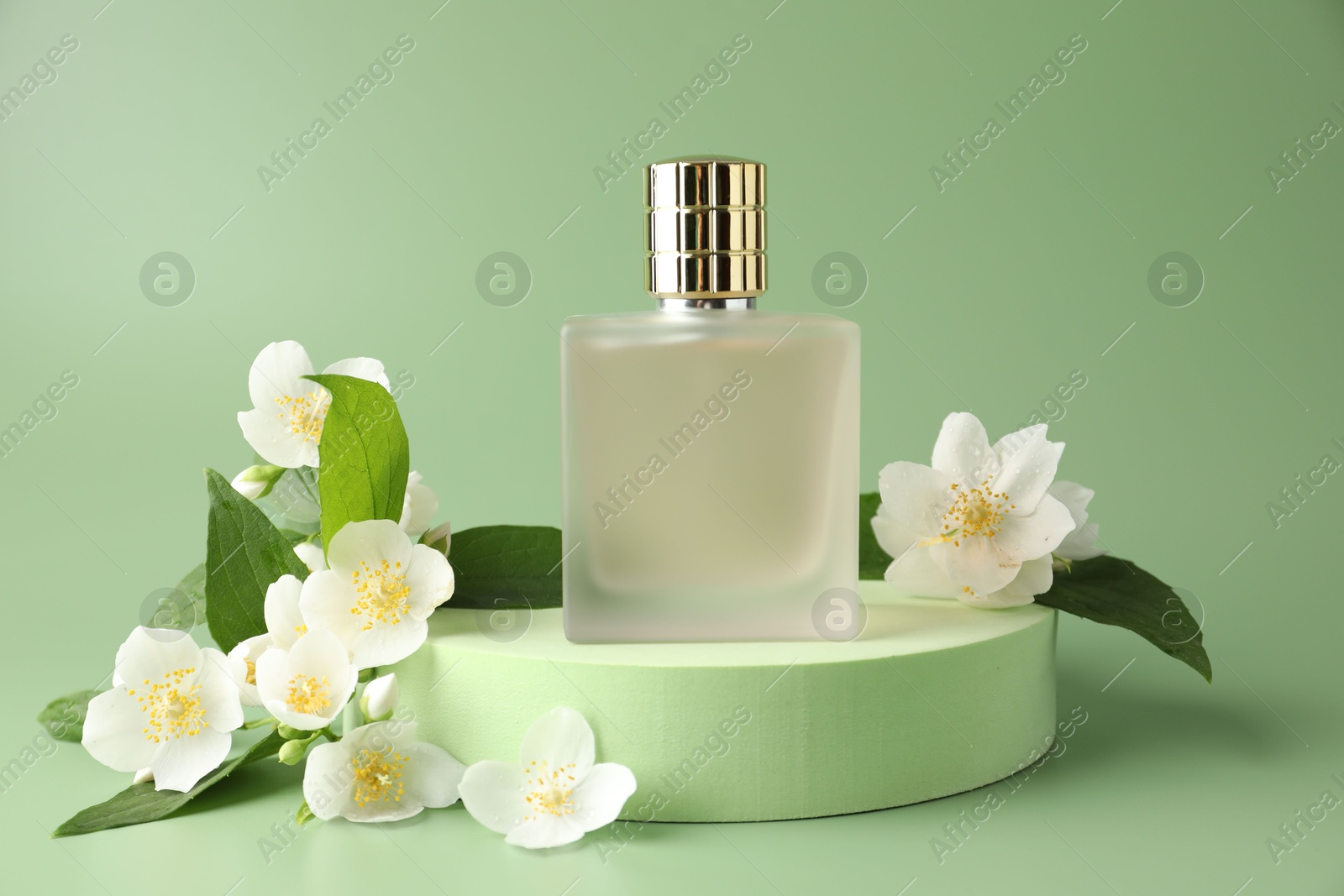 Bottle of perfume and jasmine flowers on green background Photo of Bottle of perfume and jasmine flowers on green background