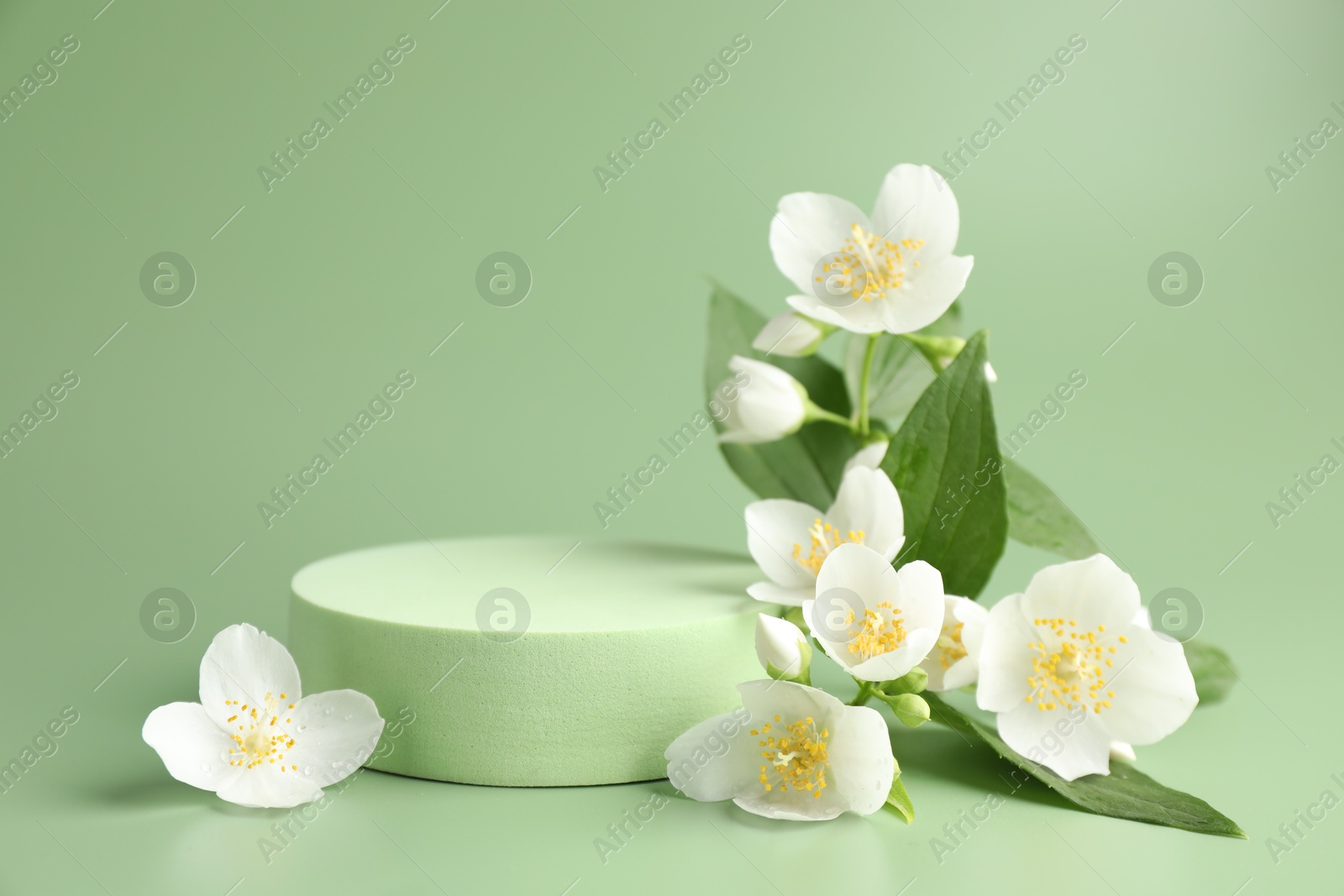 Beautiful jasmine flowers with leaves on green background. Space for text Photo of Beautiful jasmine flowers with leaves on green background. Space for text