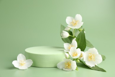 Photo of Beautiful jasmine flowers with leaves on green background. Space for text