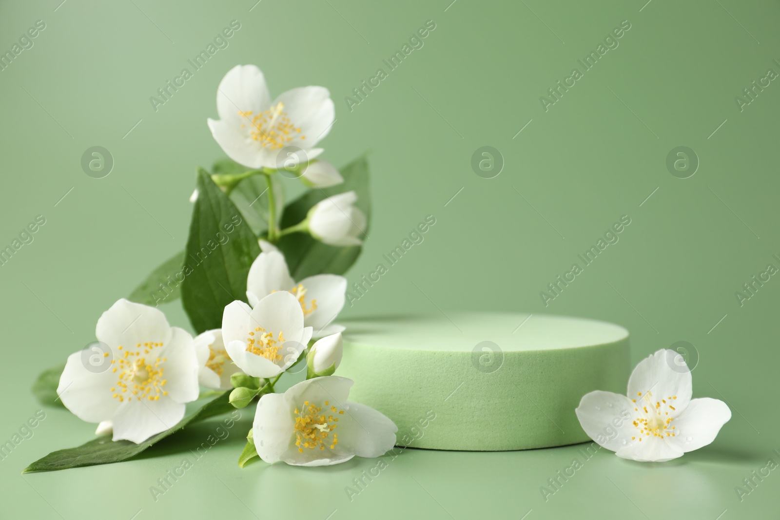 Beautiful jasmine flowers with leaves on green background. Space for text Photo of Beautiful jasmine flowers with leaves on green background. Space for text