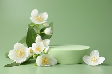 Photo of Beautiful jasmine flowers with leaves on green background. Space for text