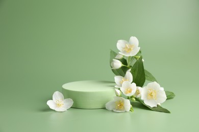 Photo of Beautiful jasmine flowers with leaves on green background. Space for text